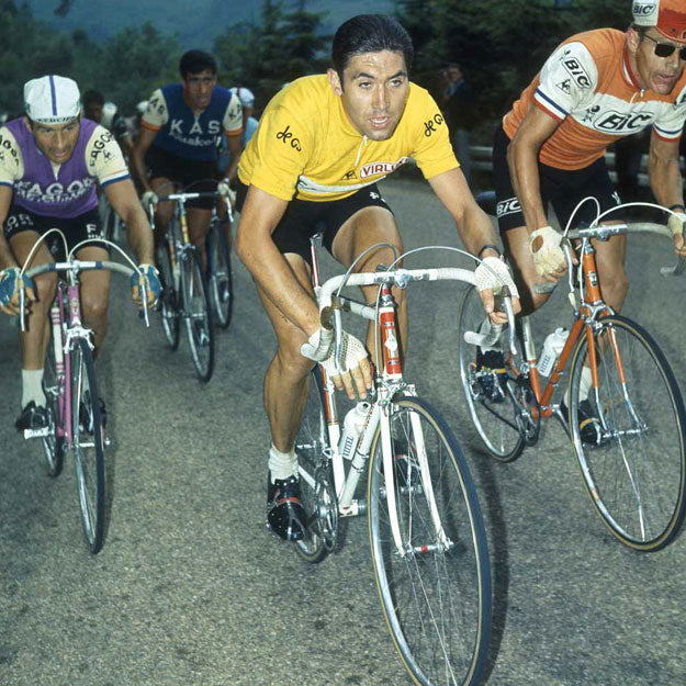Top 8 All-Time Best Road Cyclists | Greats of This Sport | KreedOn